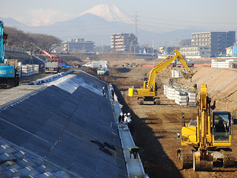 多摩川水系浅川堤防